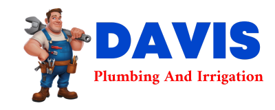 Trusted plumber in DIKE